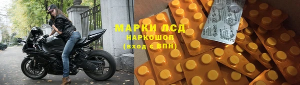 амф Инта