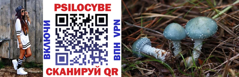 Псилоцибиновые грибы Magic Shrooms  Купить  Богородицк 
