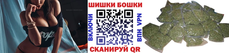 Купить где  Богородицк  Канабис ГИДРОПОН 